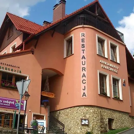 Karkonosz - I Pokoje Linowa 1b *